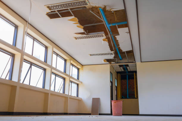 Best Water damage restoration services  in Cherokee Village, AR