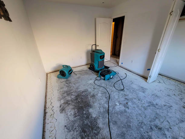 Best Water damage restoration mold remediation  in Cherokee Village, AR