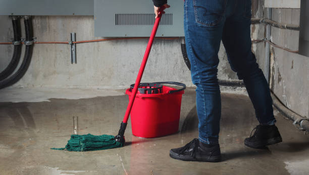 Best Commercial water damage restoration  in Cherokee Village, AR