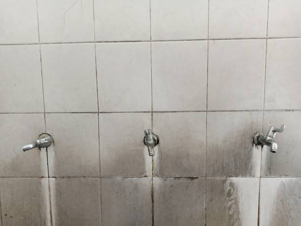 Best Sewage cleanup and water damage restoration  in Cherokee Village, AR