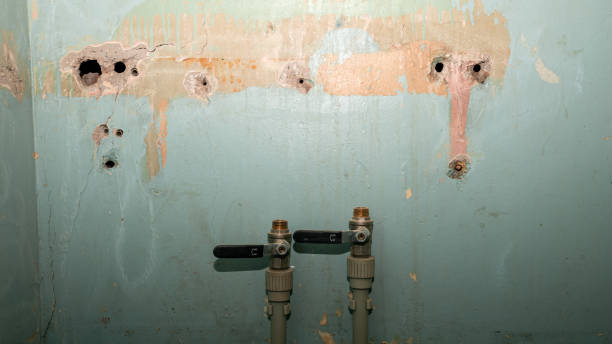  Cherokee Village, AR Water damage restoration Pros