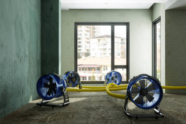 Best Local water damage restoration  in Cherokee Village, AR